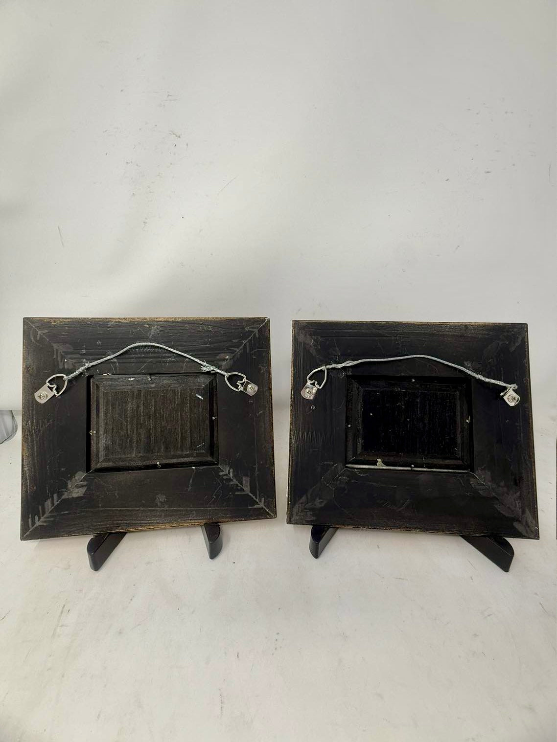 Pair Special $250 | Framed Bird Paintings | $150 Each
