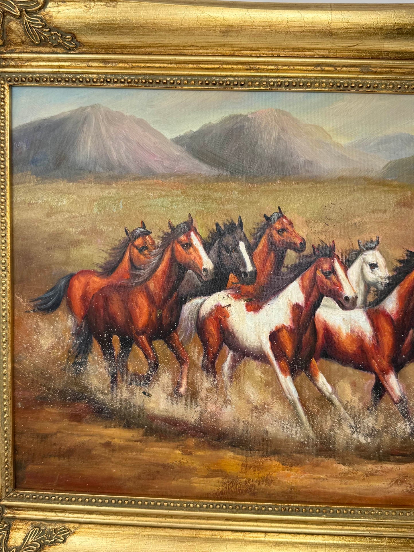 Wild Riders of the Wind