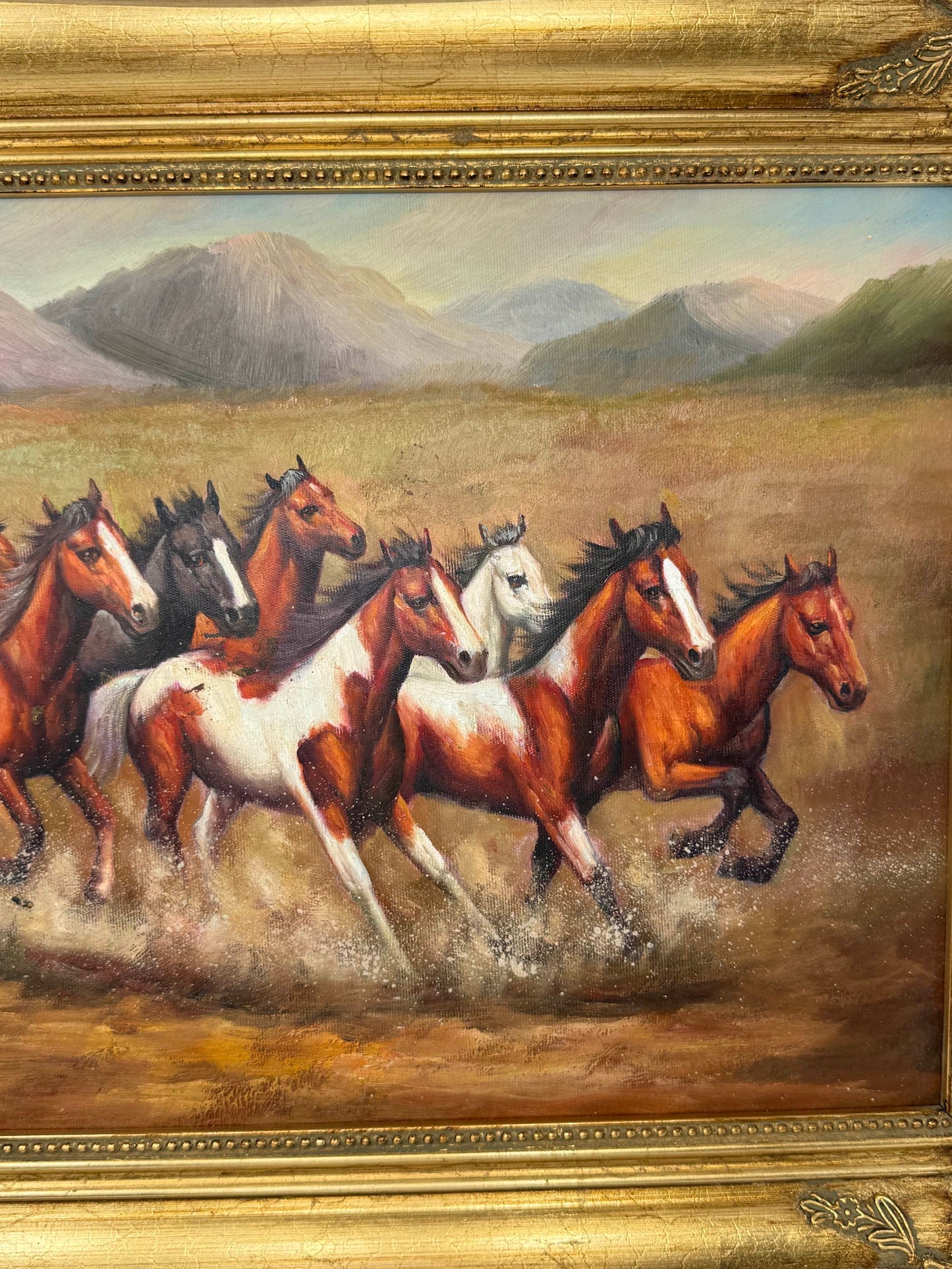 Wild Riders of the Wind