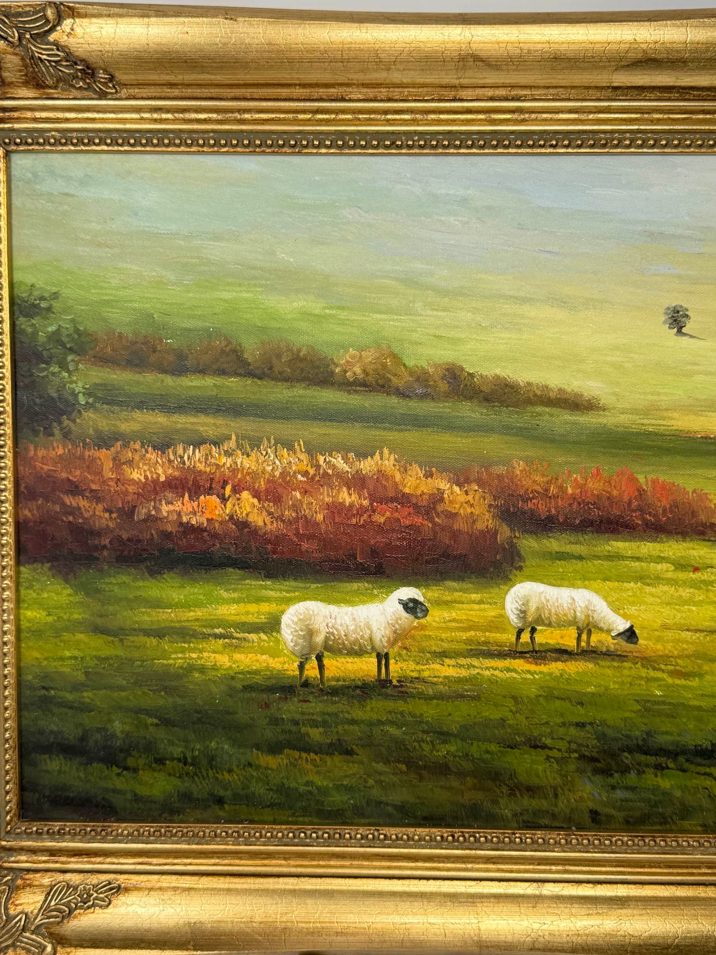 Pastures in Tranquility