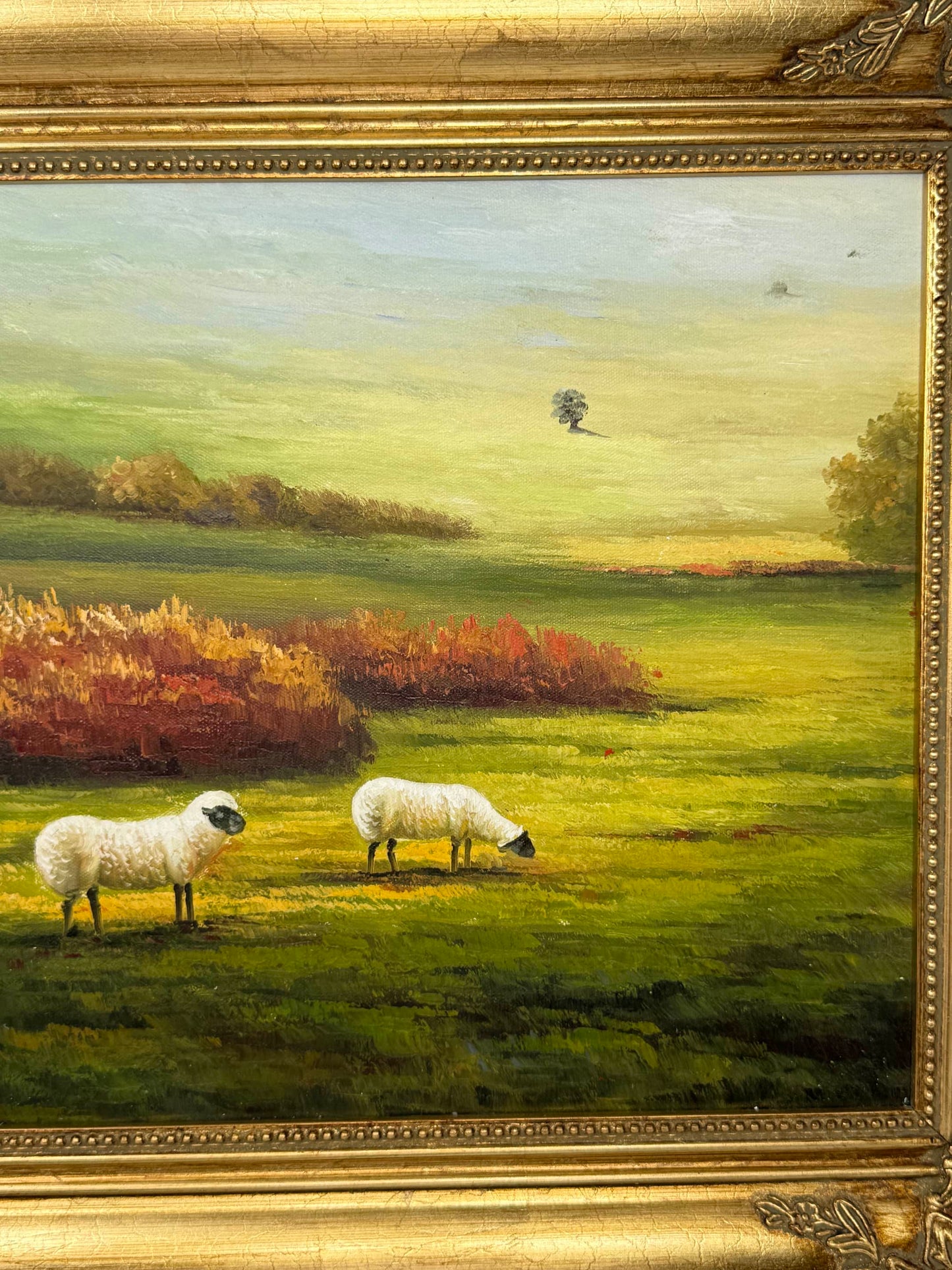 Pastures in Tranquility