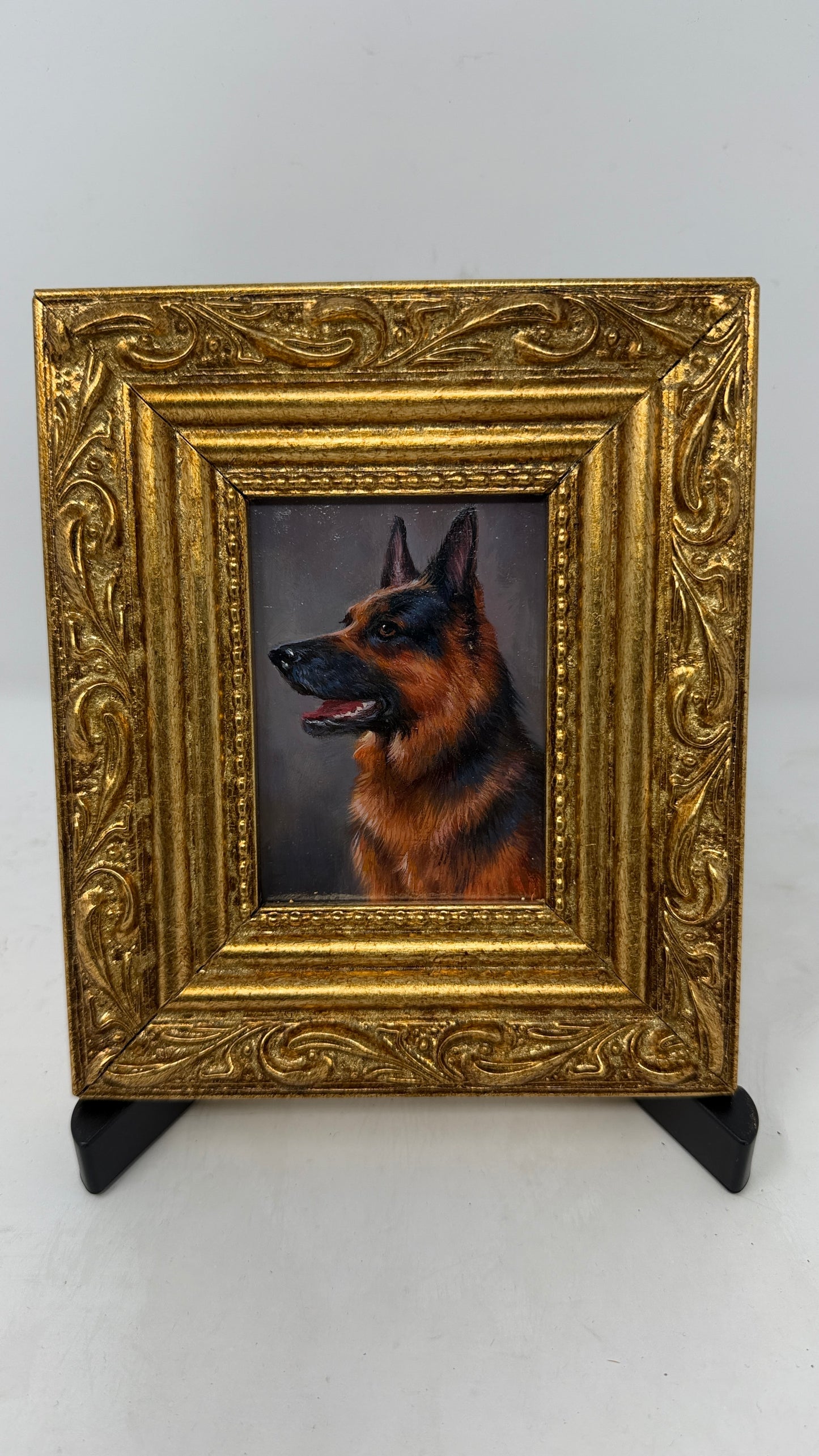 Framed German Shepherd Dog Portrait in Ornate Gold Ornate Frame, Small Canine Wall Art