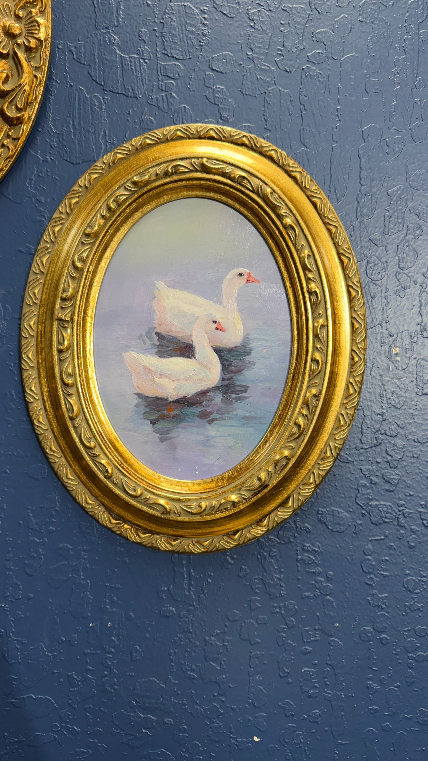 Two White Swans on Tranquil Water