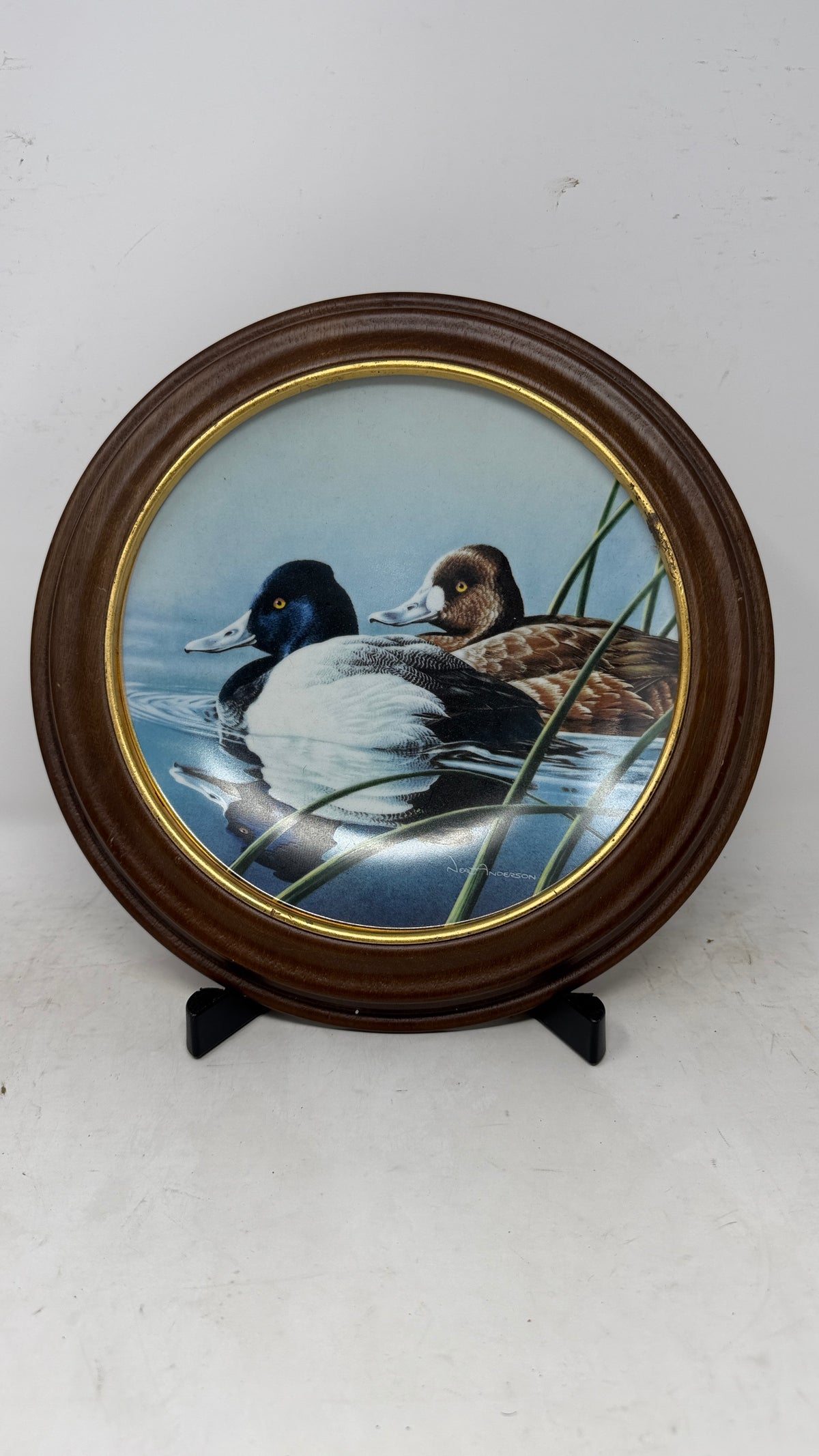 Quiet Companions — Framed Duck Artwork