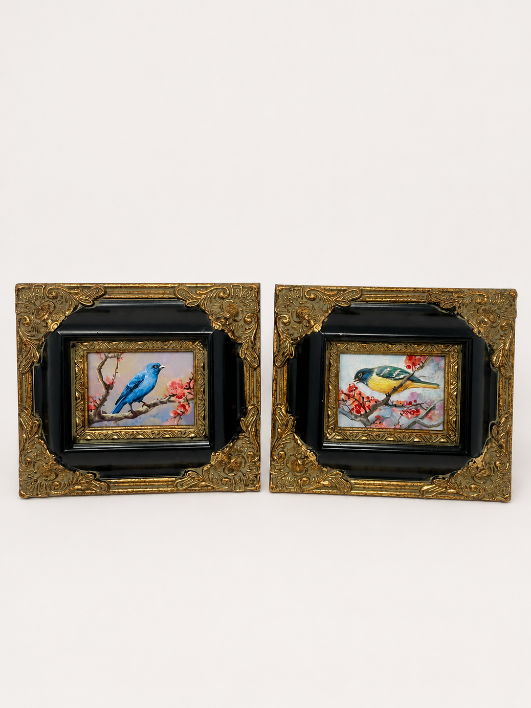 Pair Special $250 | Framed Bird Paintings | $150 Each
