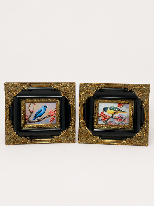 Pair Special $250 | Framed Bird Paintings | $150 Each