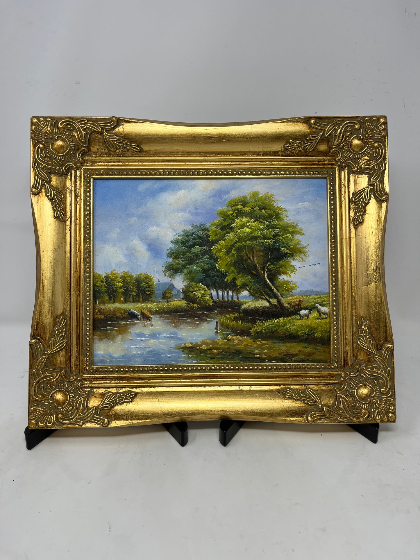 Reflections of the Meadow