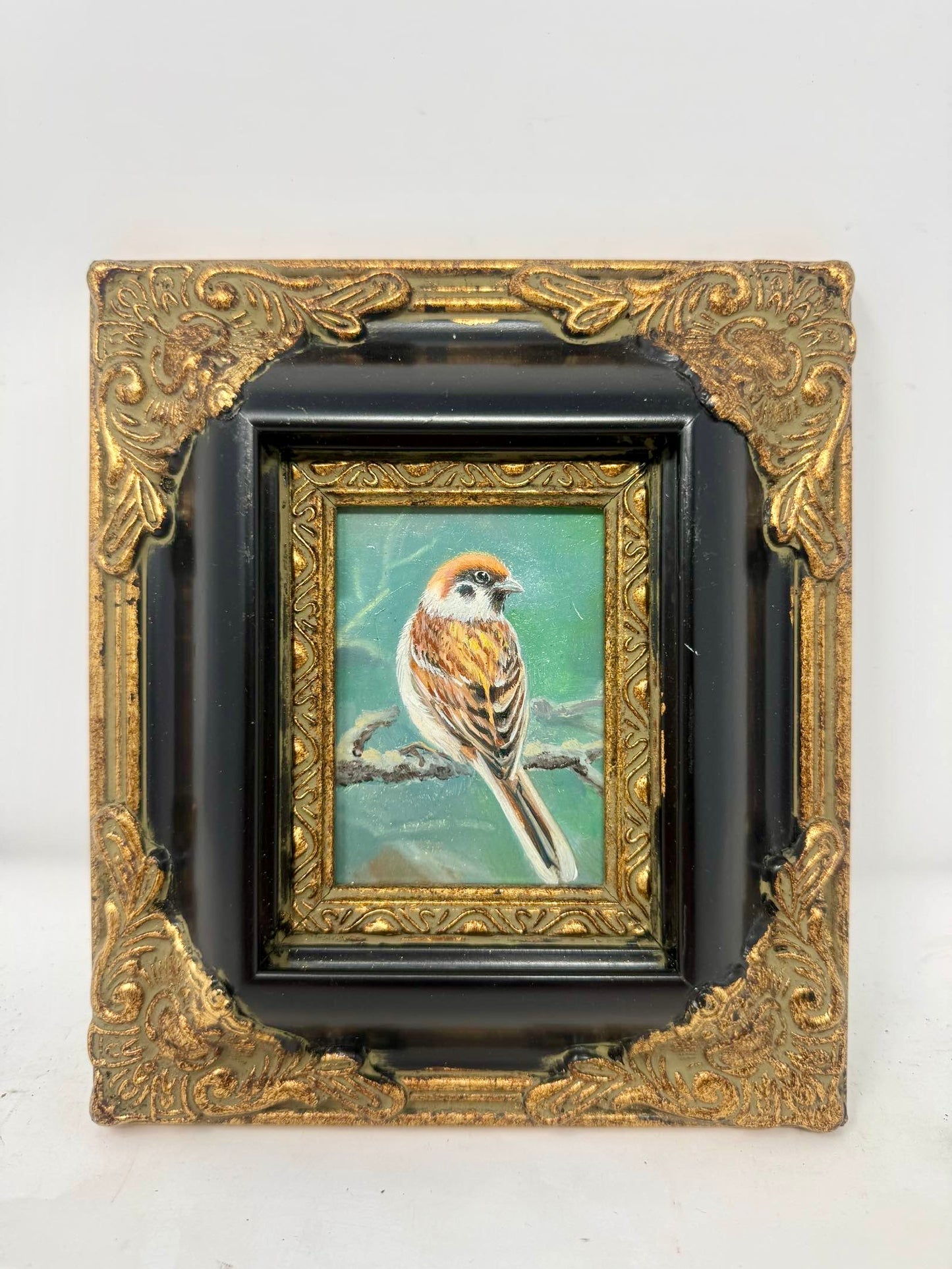 Little Woodland Songbird