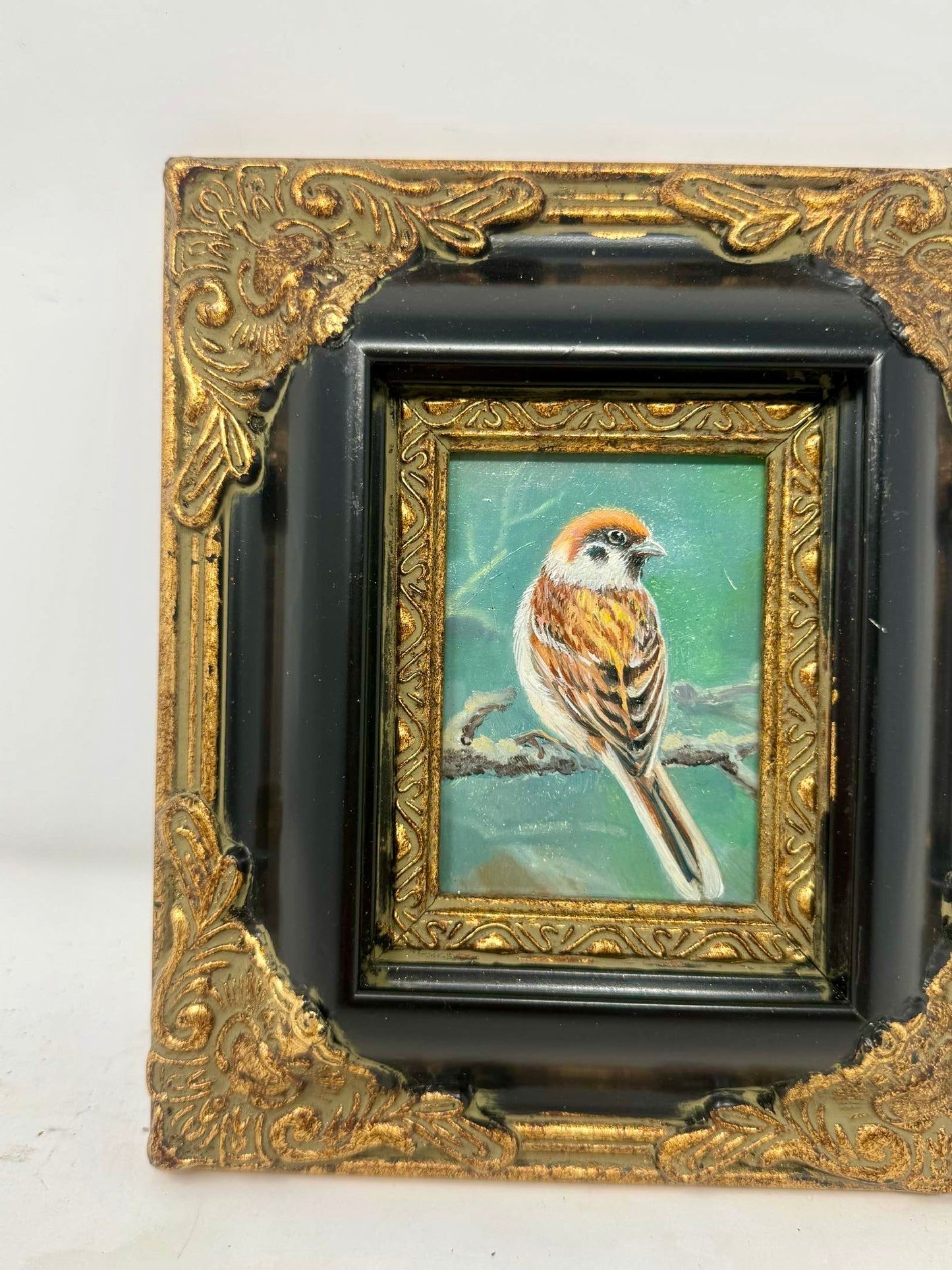 Little Woodland Songbird