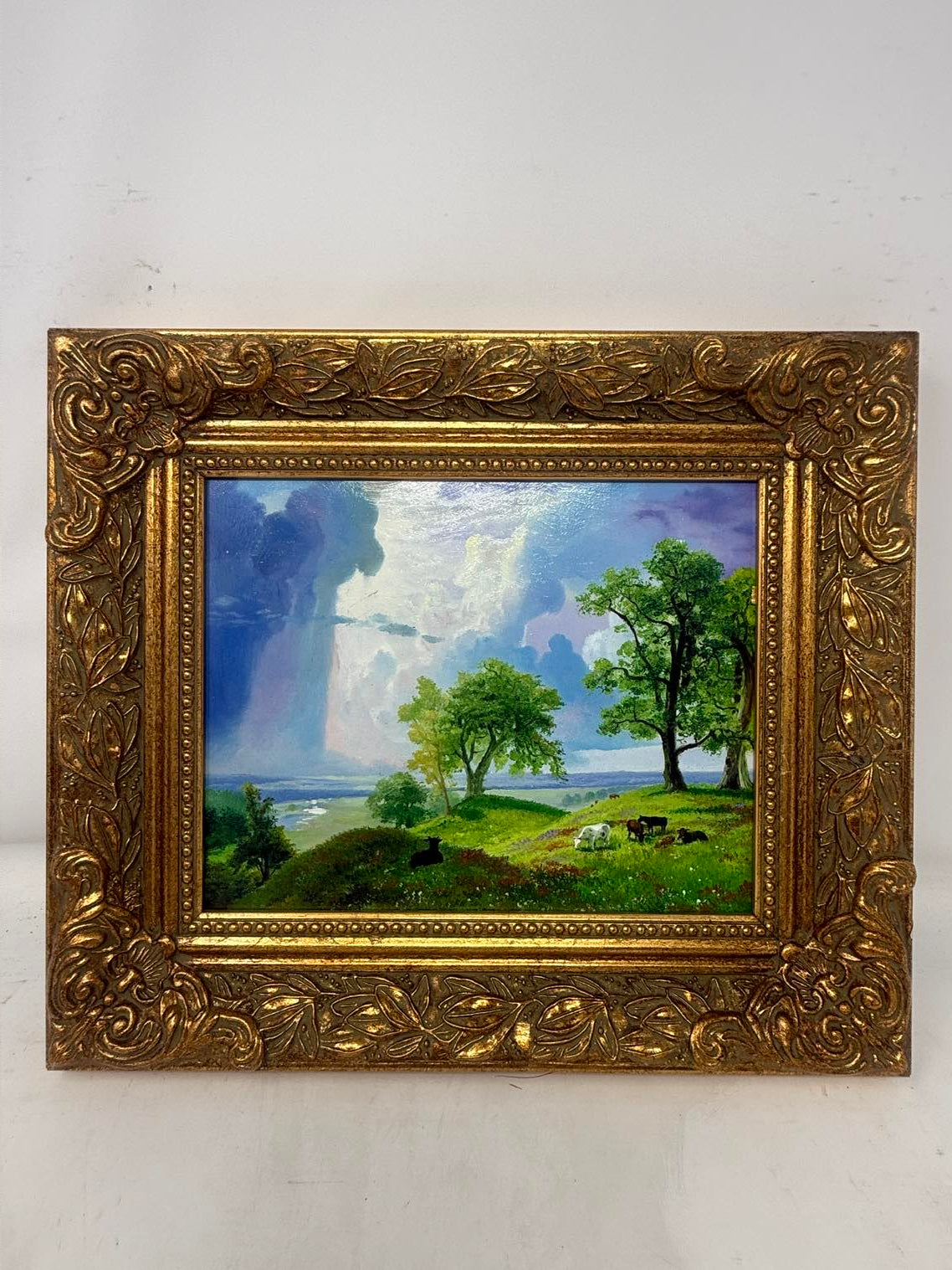 Green Pasture Morning