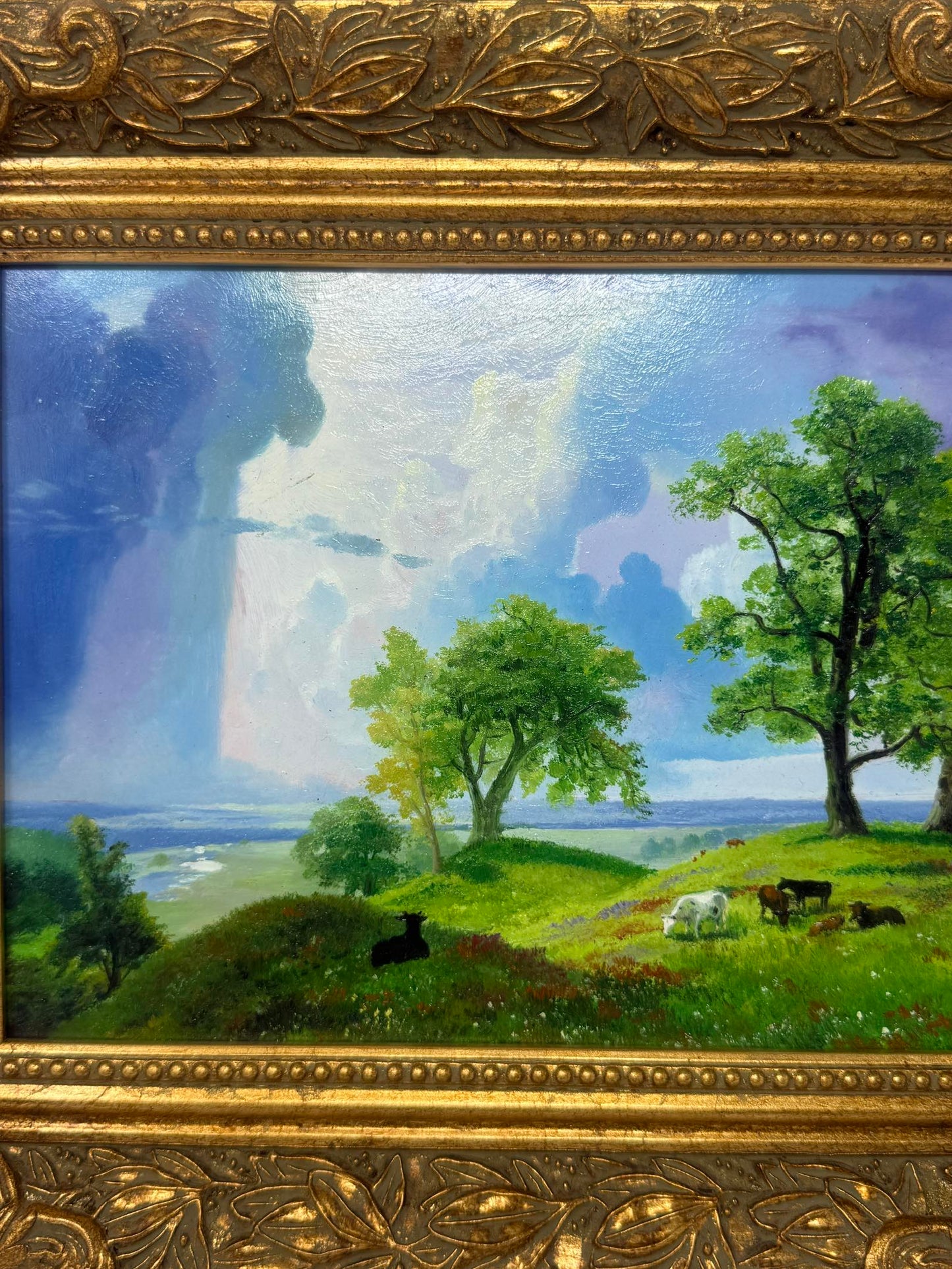 Green Pasture Morning