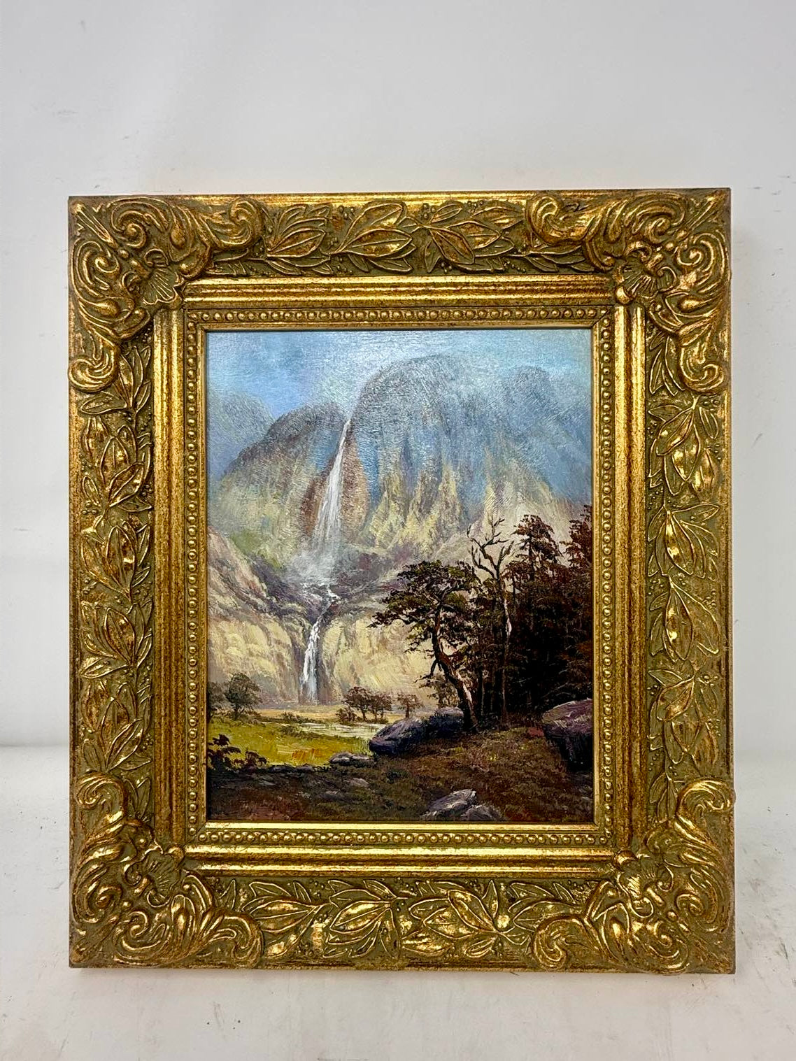 Misty Falls