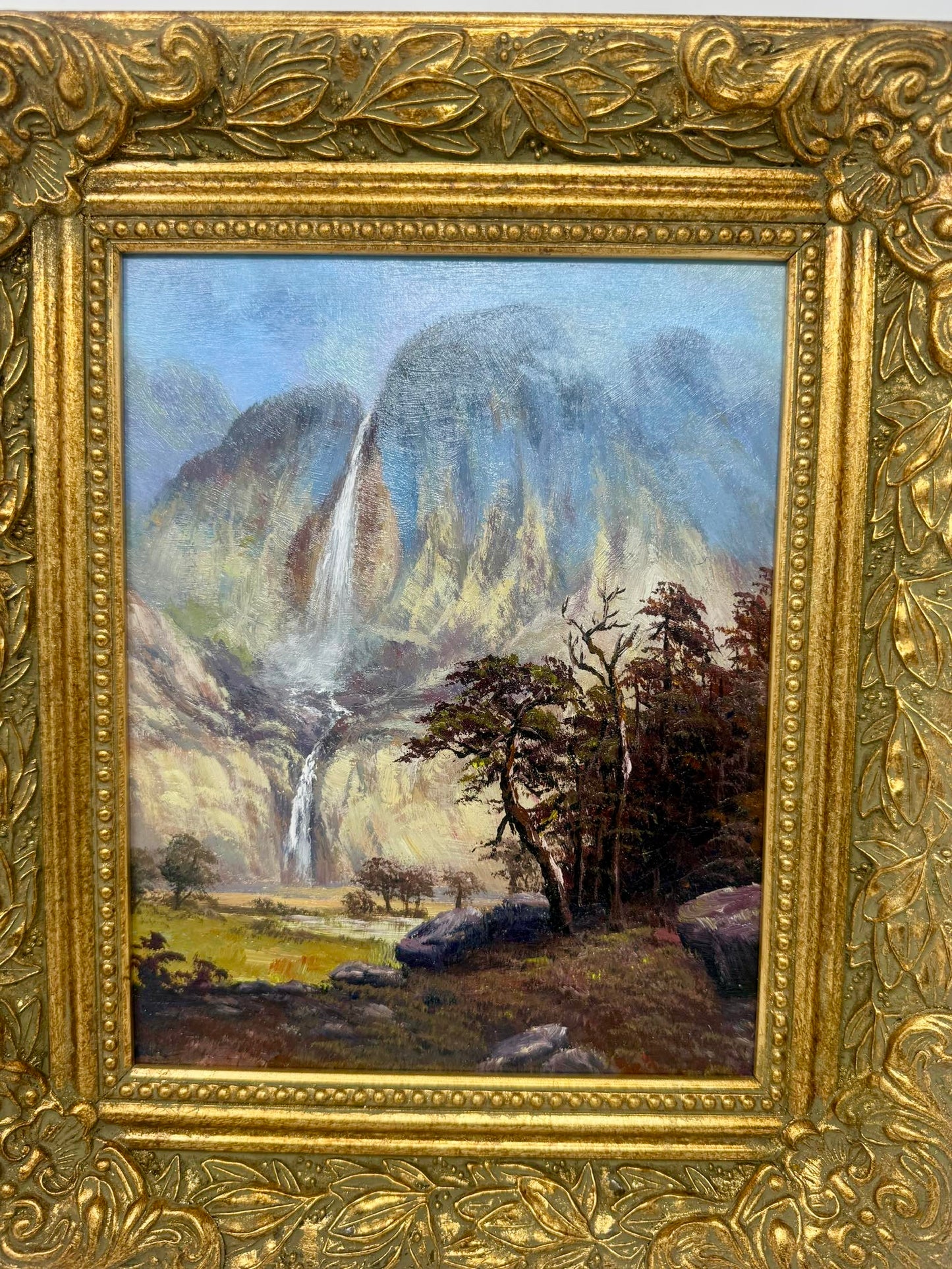 Misty Falls