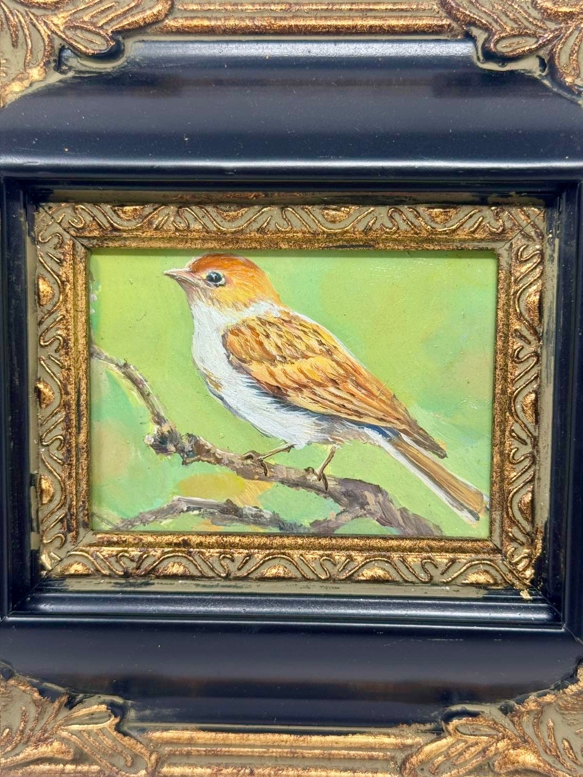 Golden Perch | Framed Mini Bird Oil Painting in Black & Gold Ornate Frame