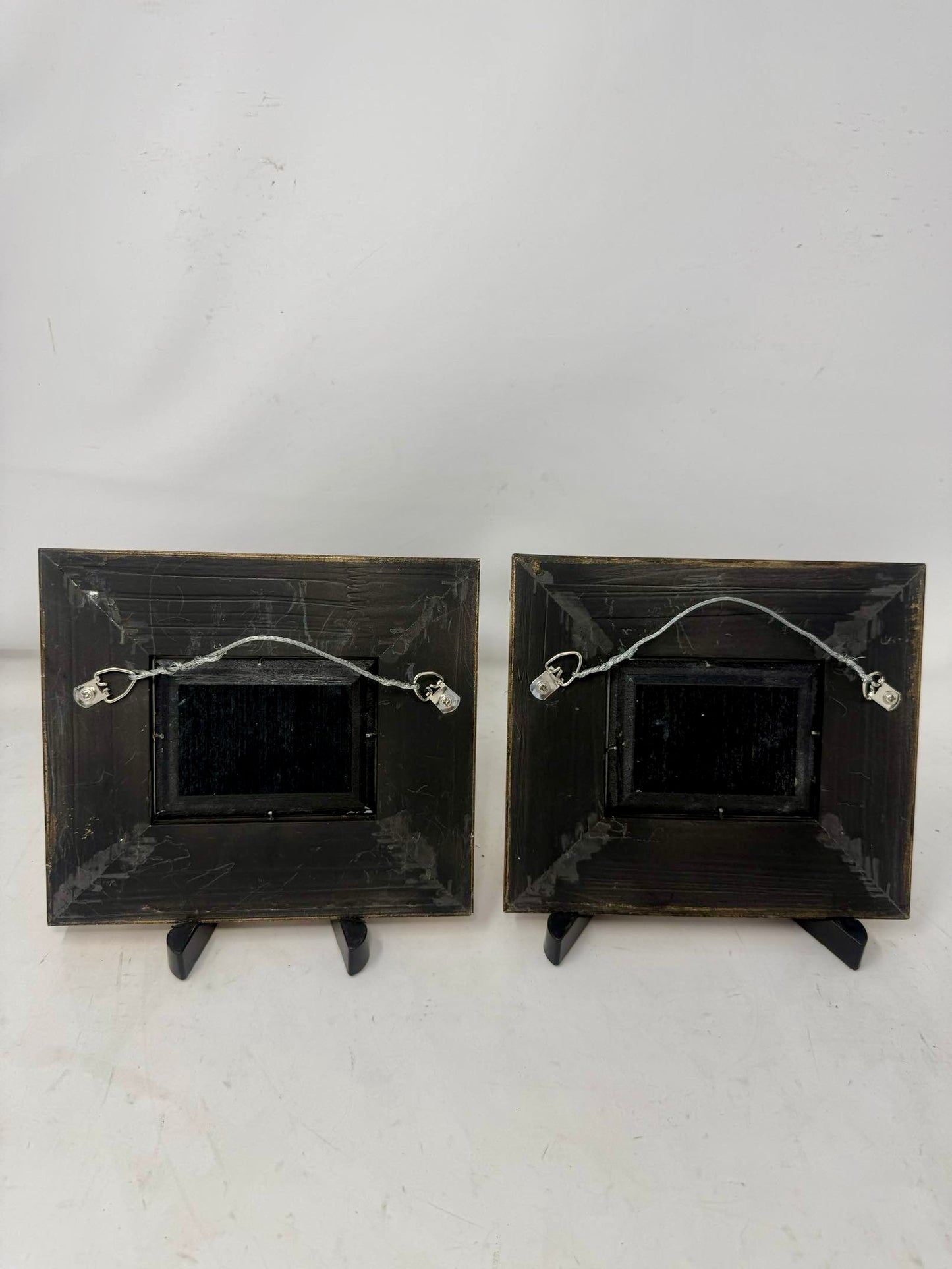Two for $250 | Charming Framed Bird Paintings