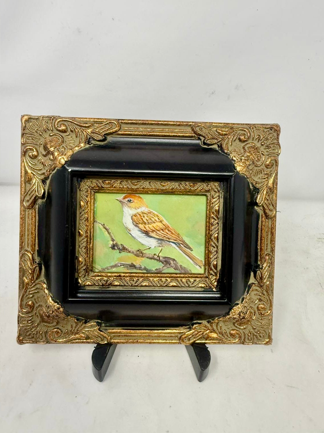 Two for $250 | Charming Framed Bird Paintings