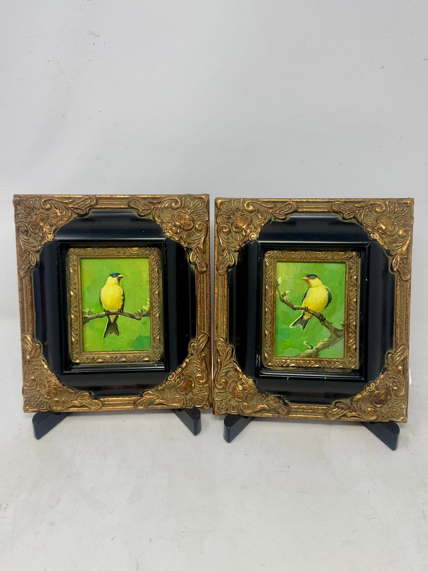 Golden Songbirds | Pair of Framed Bird Oil Paintings | $250 Pair / $150 Each