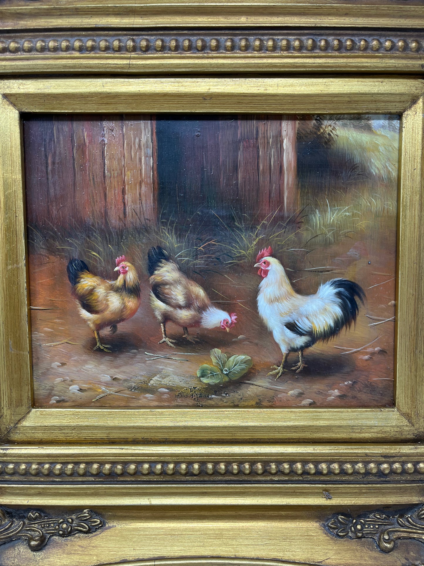 Chickens Hanging out Casually 17x16