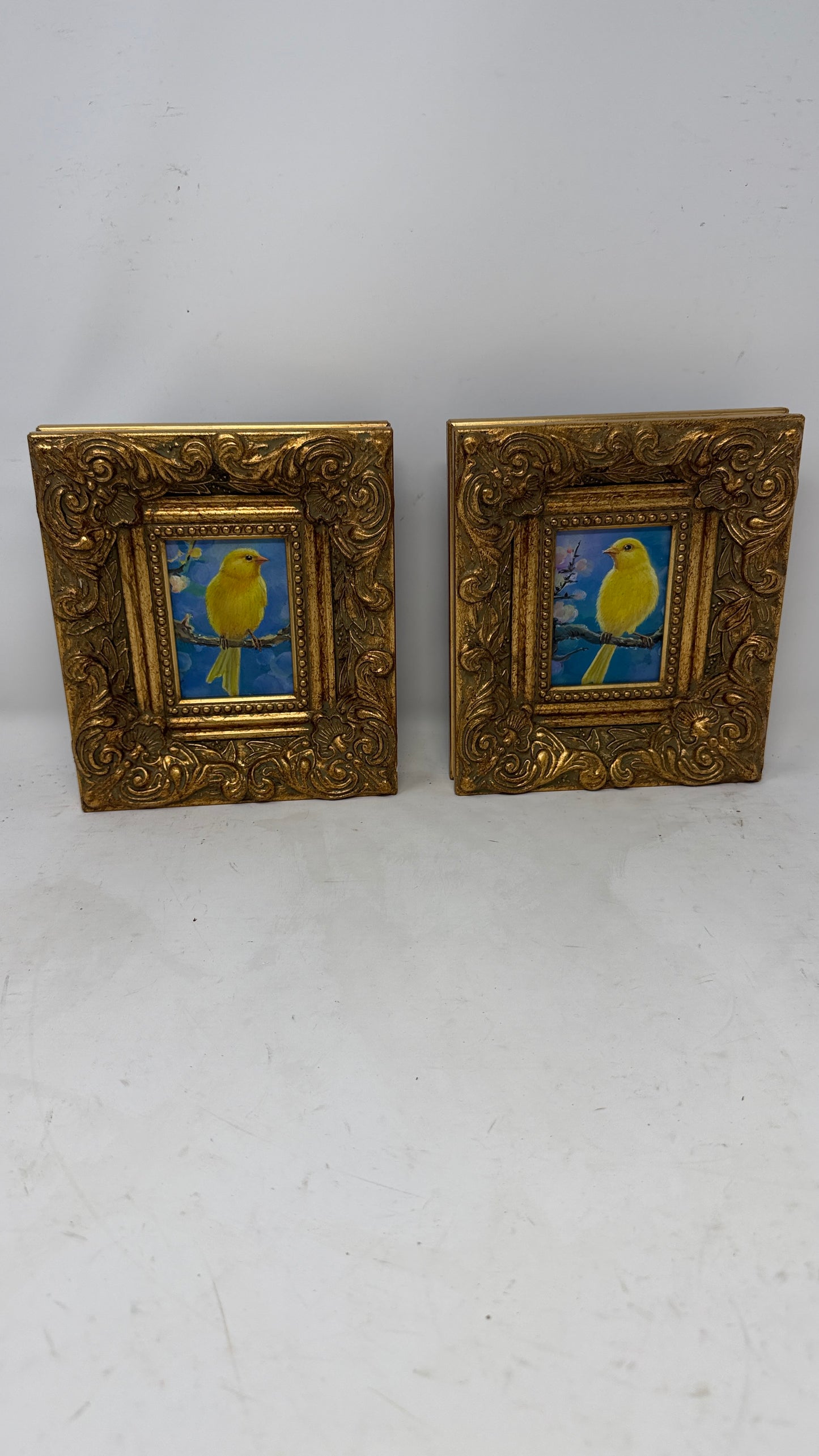 Pair of Framed Yellow Songbird Paintings in Ornate Gold Frames | Cheerful Cottage Wall Art