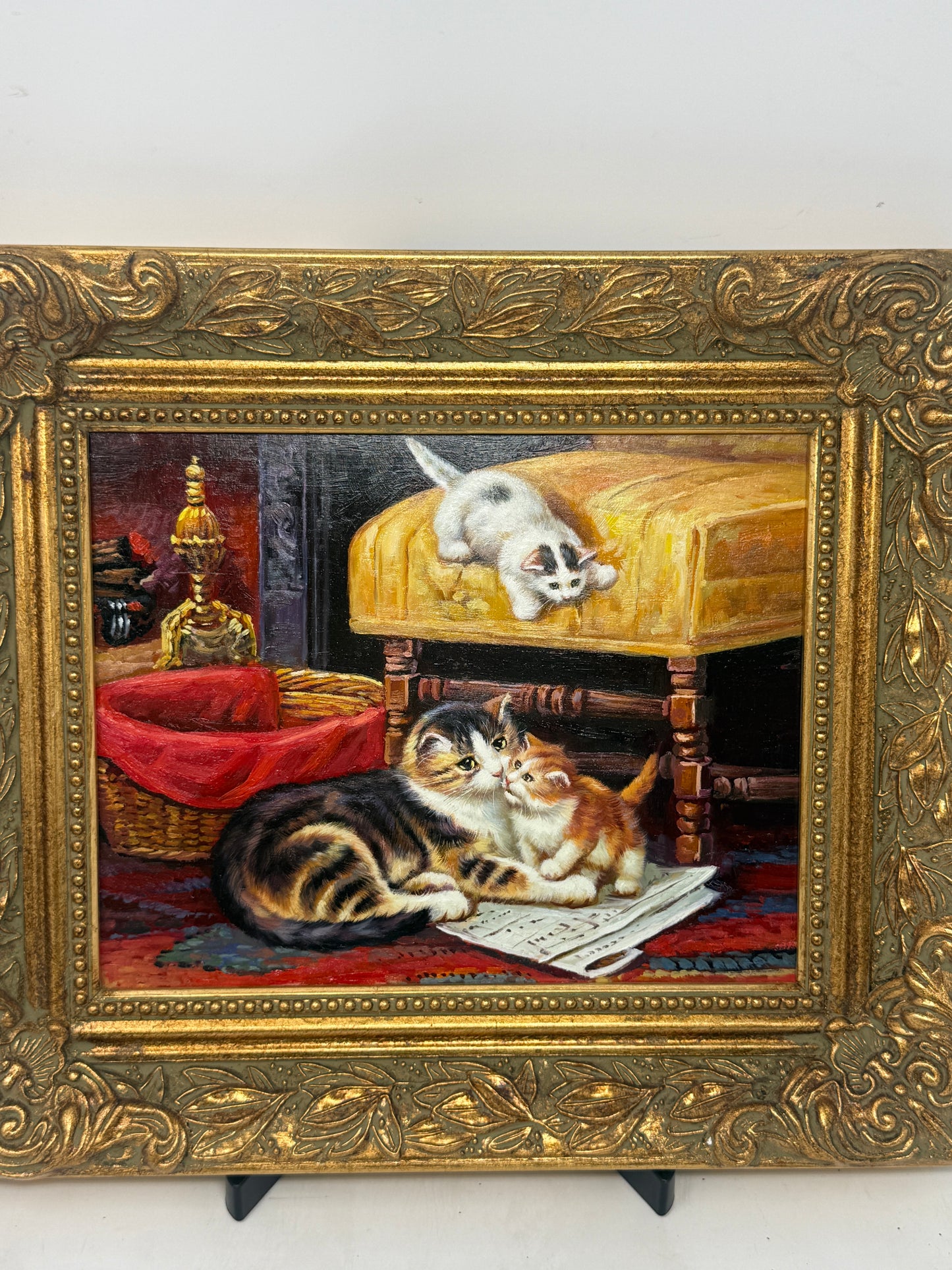 Cozy Kittens at Home
