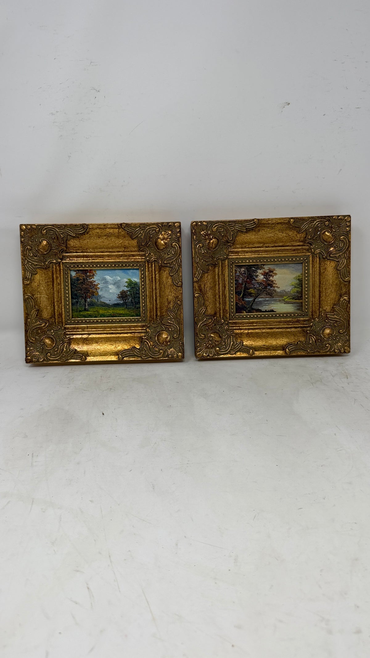 Pair of Moody Landscape Oil Paintings in Ornate Gold Frames