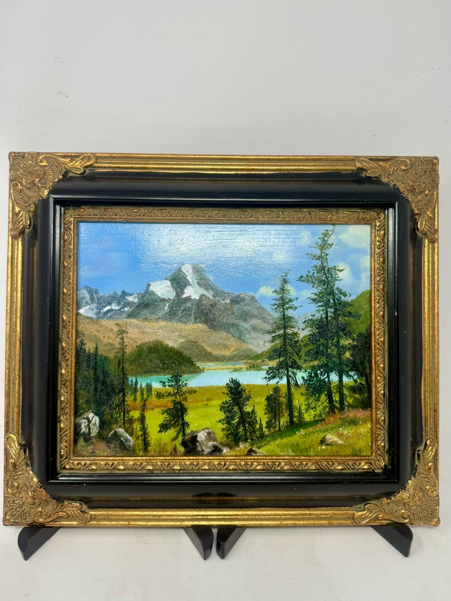 Alpine Lake View