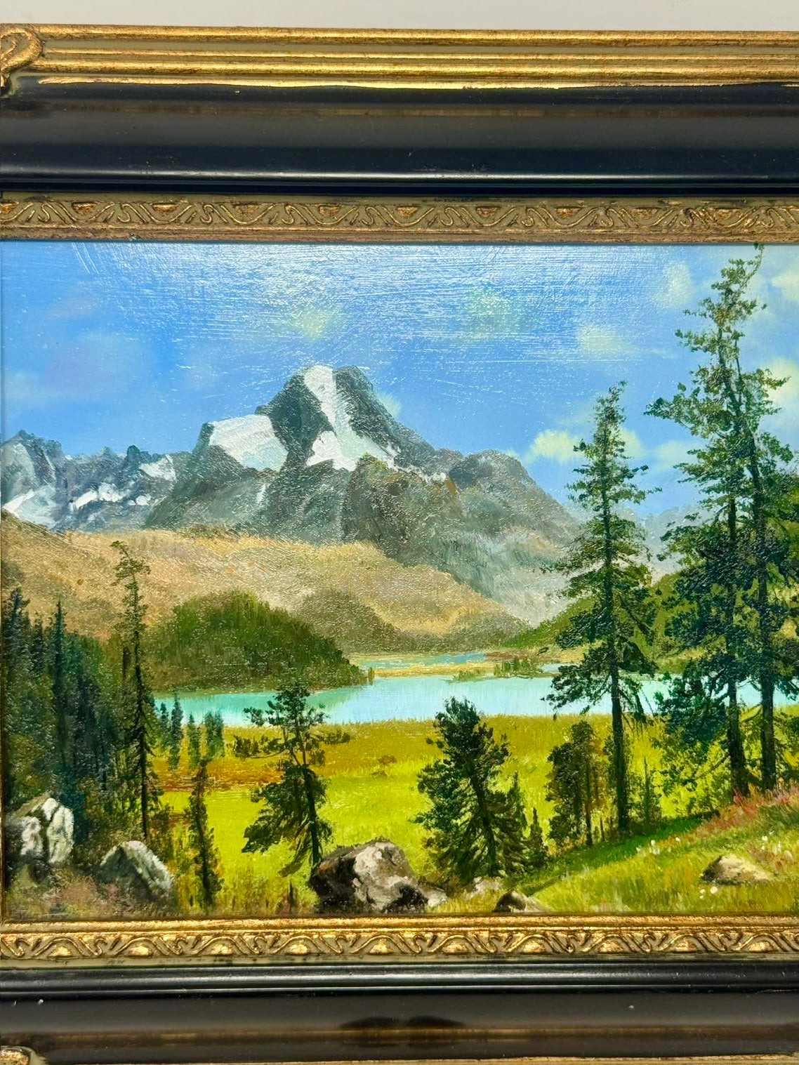 Alpine Lake View