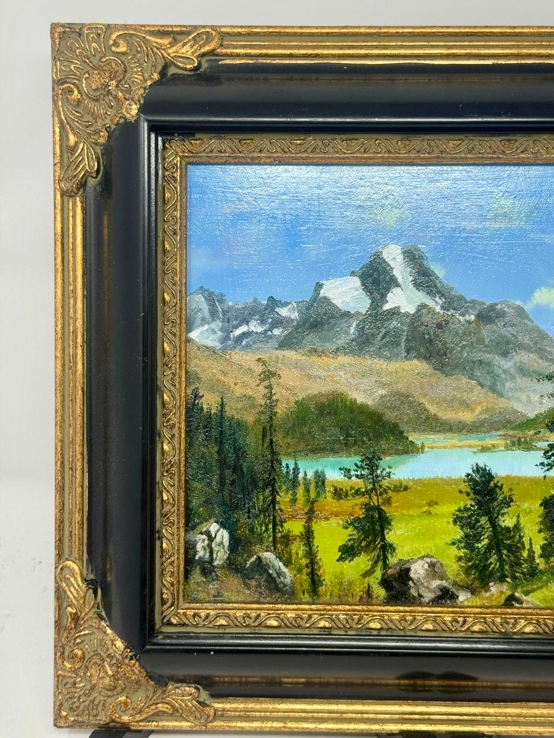 Alpine Lake View