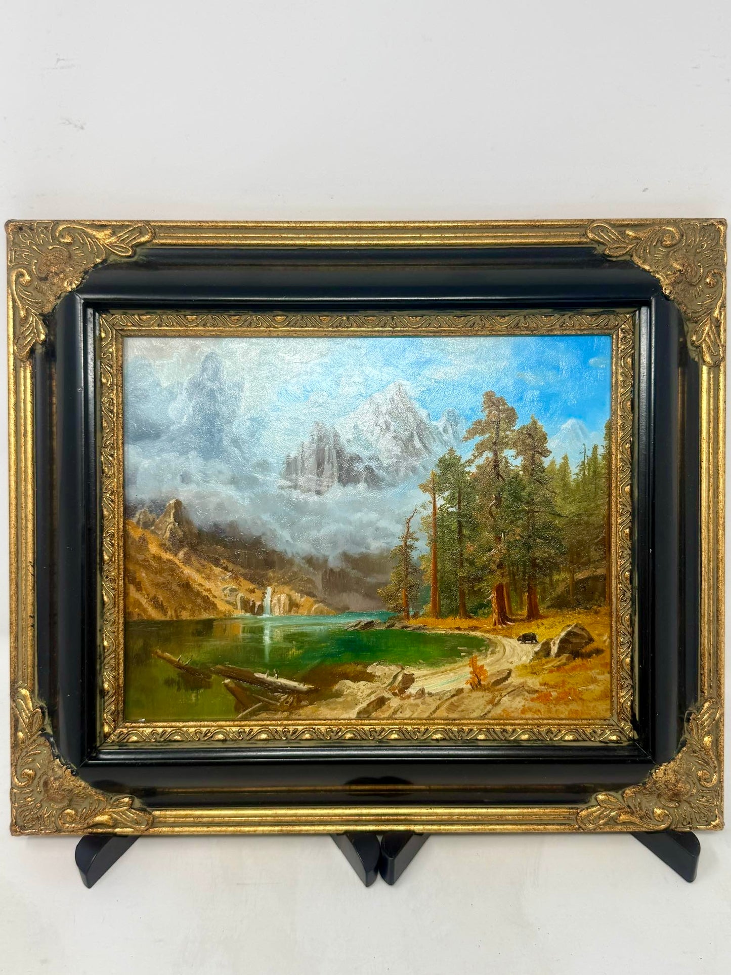 Mountain Lake Retreat
