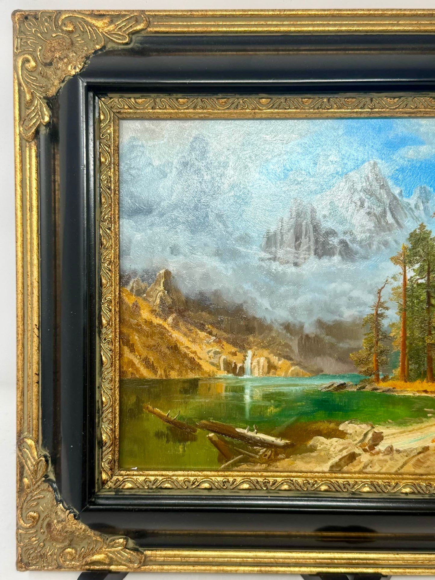 Mountain Lake Retreat