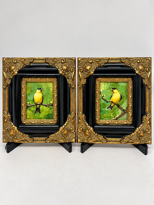 Golden Songbirds | Pair of Framed Bird Oil Paintings | $250 Pair / $150 Each